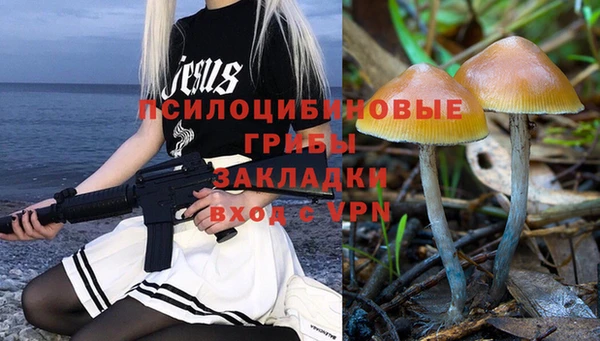 прущие крисы Алзамай